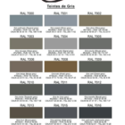 nuancier PREDA 10 - PredaColor PREDACOLOR grayscale swatches grid labeled RAL 7000–7023 with color names and CMJN/RVB values