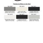 nuancier PREDA 14 - PredaColor Predacolor color chart showing six swatches named as white and black tones (RAL 9007, 9010, 9011, 9016, 9017, 9018).