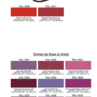 nuancier PREDA 5 - PredaColor Predacolor logo above a color swatch chart: two red blocks (RAL 3028, 3031) and multiple purple/violet swatches with RAL codes and names, titled Teintes de Rose et Violet.